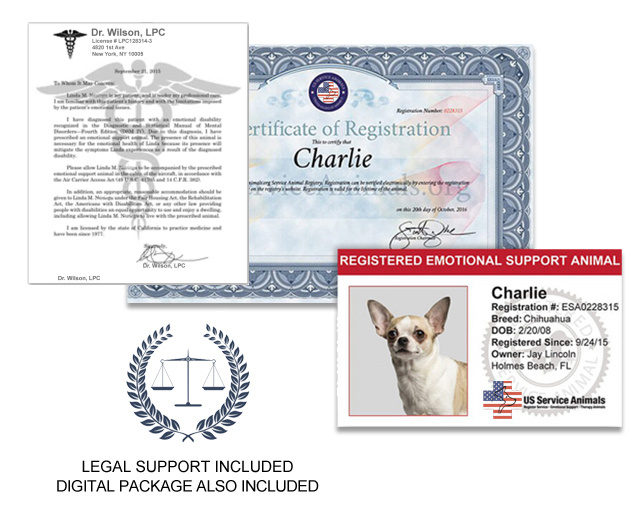 How to claim a dog as an emotional support animal How To Get An Esa Letter The Legitimate Way