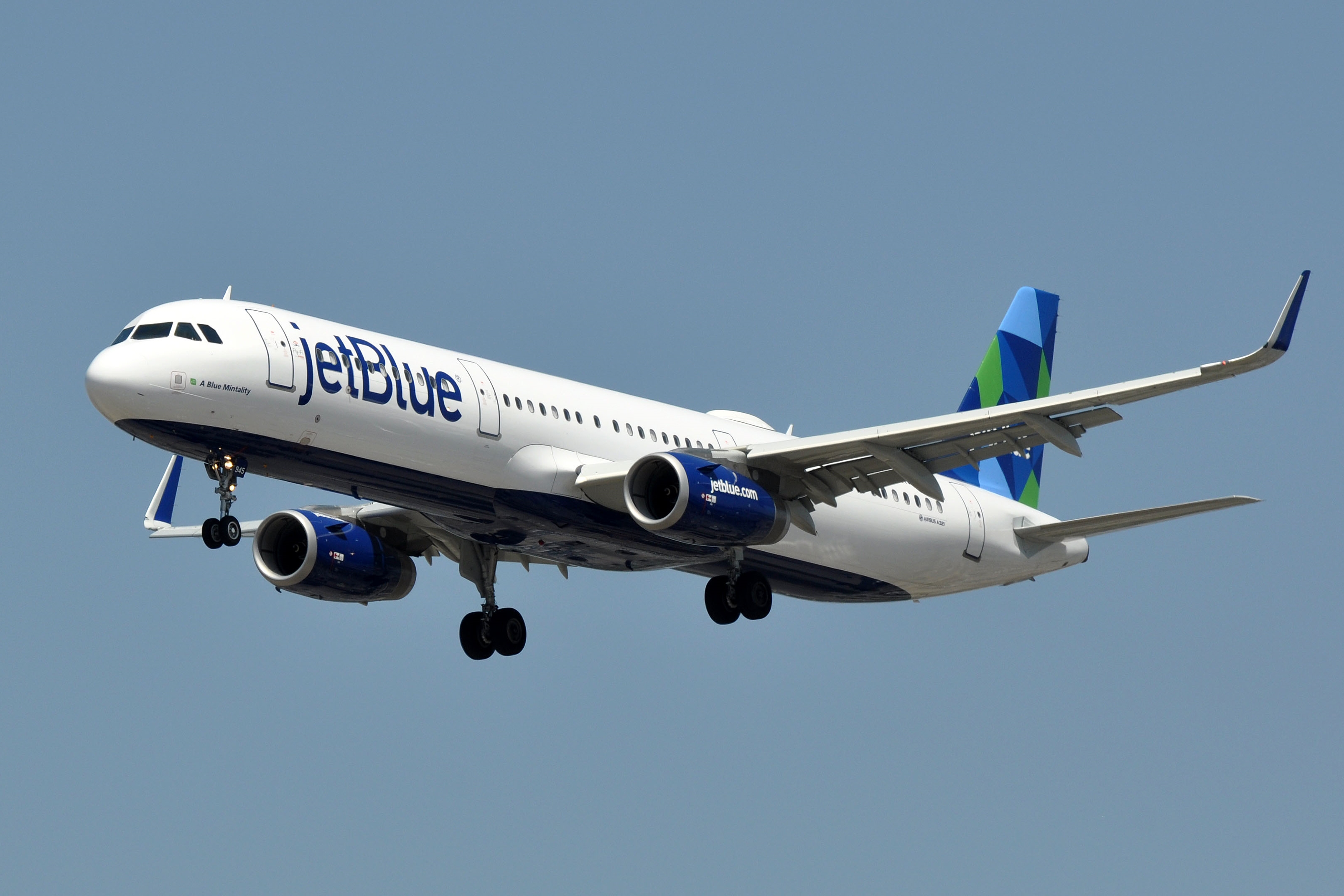 ESA on JetBlue