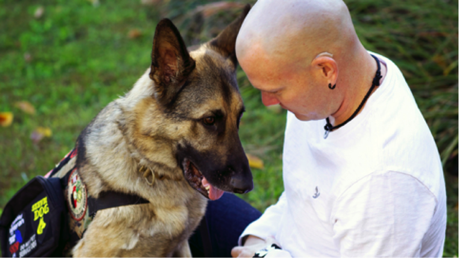 Service Dog Helping A Veteran