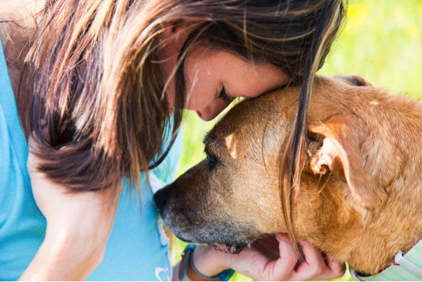 Service Dog for Diabetes